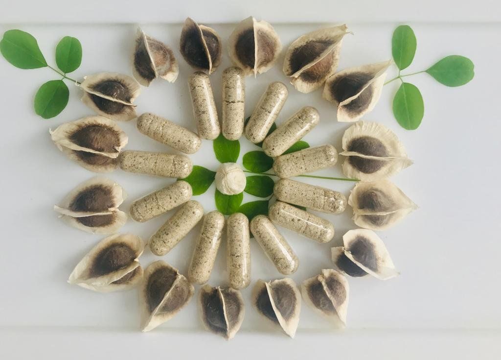 Plantes & graines: Moringa Samen oleifera PKM1 – Neuf (Voir description) à Luzern par ivo_schild 6
