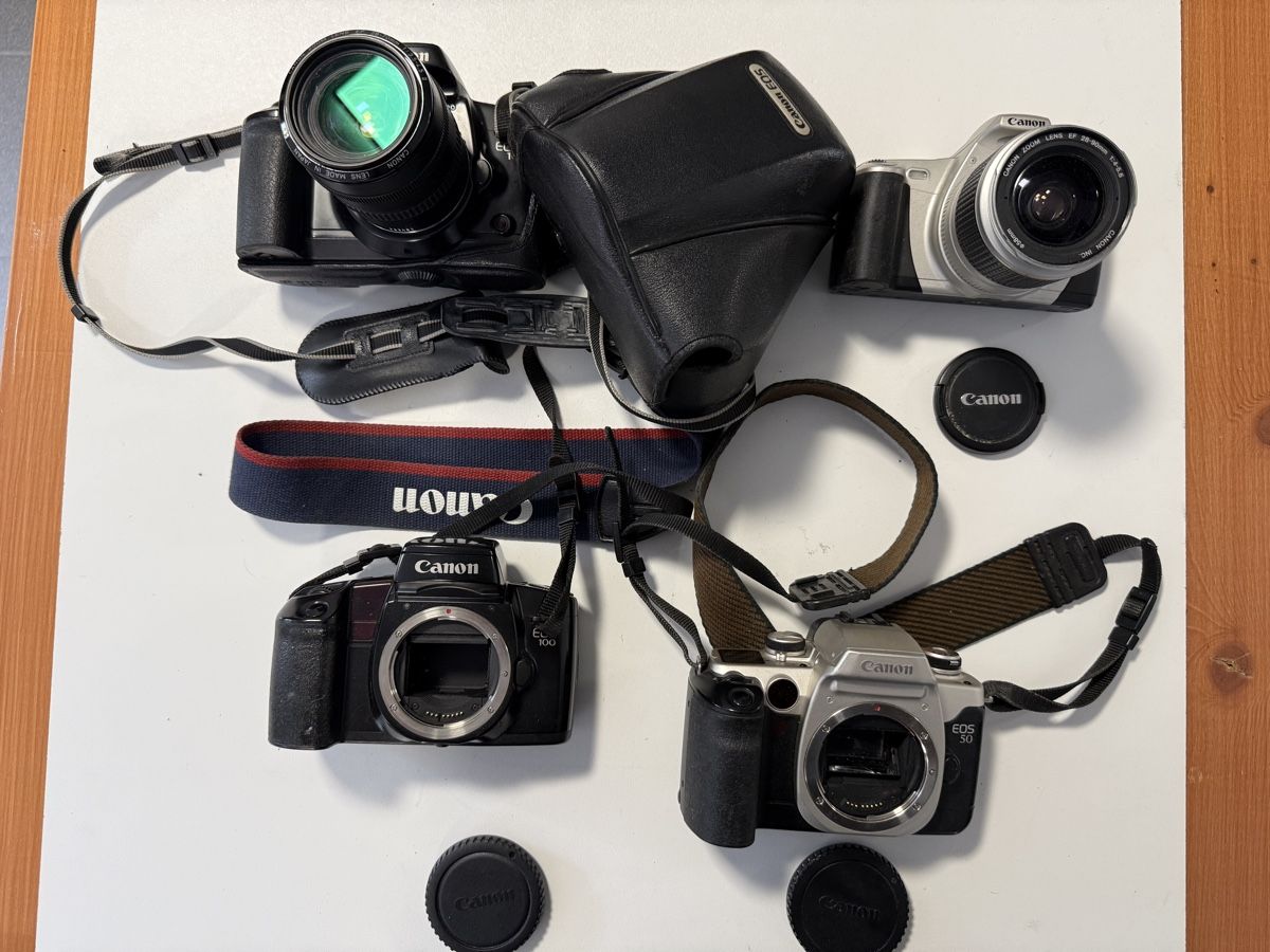 Canon Fotocamera: Le lot comprend 4 boîtiers reflex argentiques et 2 objectifs – Usato da Ardon venduto da Momovs99 3