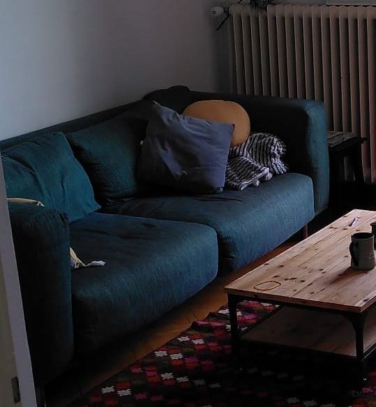 Divani: Canapé – Usato da Neuchâtel venduto da CrazySpip 1