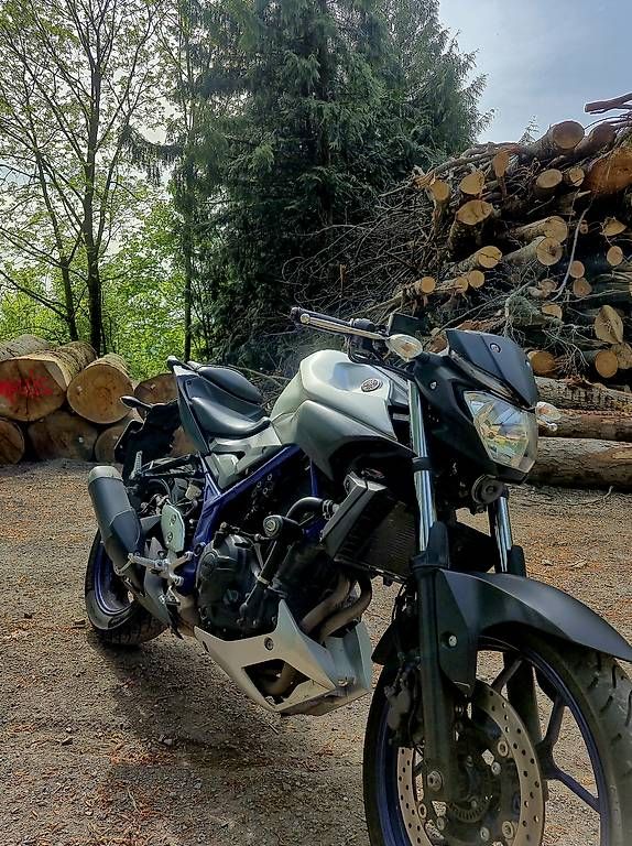 Strada: Yamaha Mt03 2017 – Usato da Küssnacht am Rigi venduto da dew_mx7m