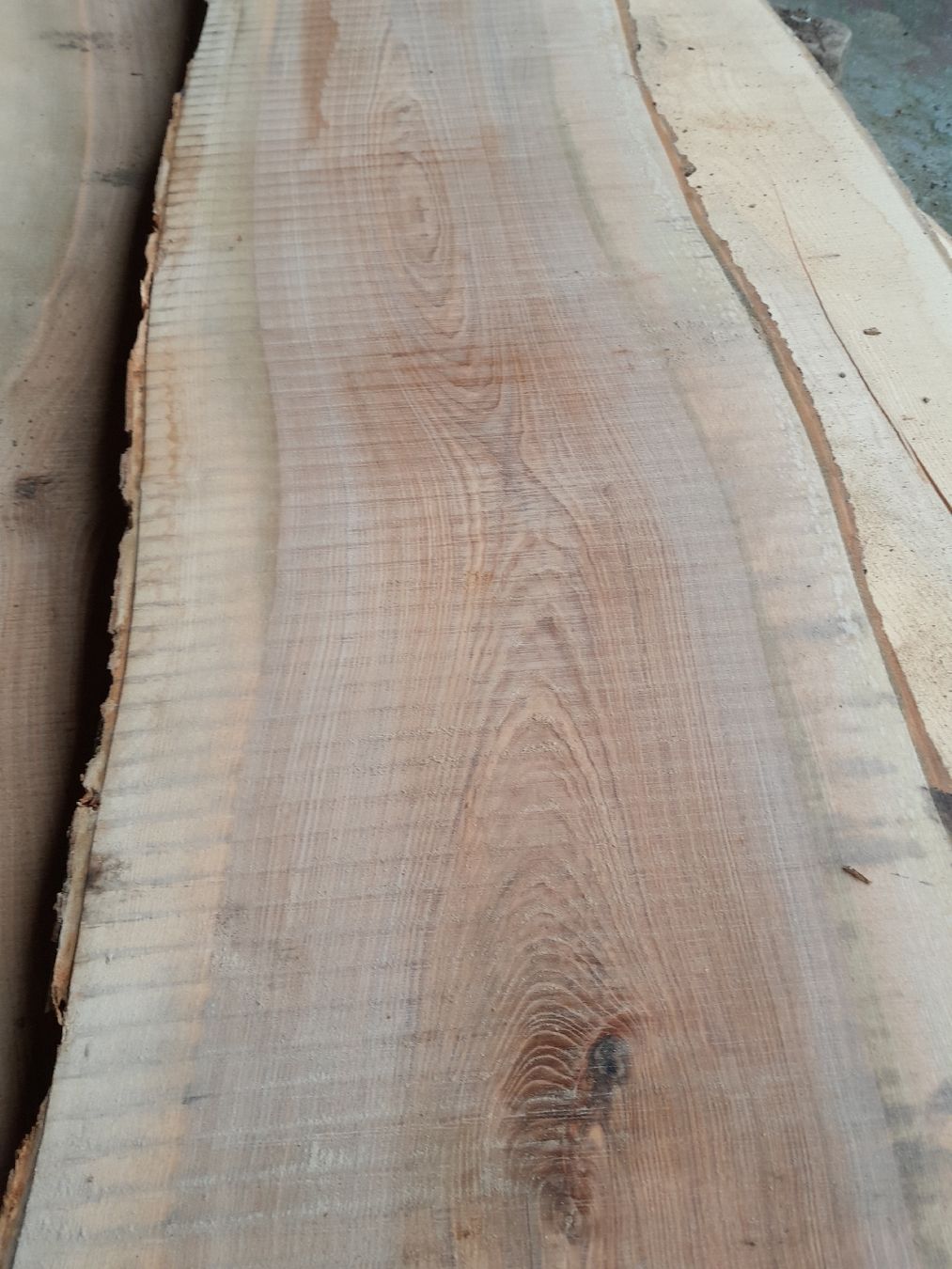 Articles en bois: Eschen Bretter – Neuf (Voir description) à Grosswangen par paluki 1
