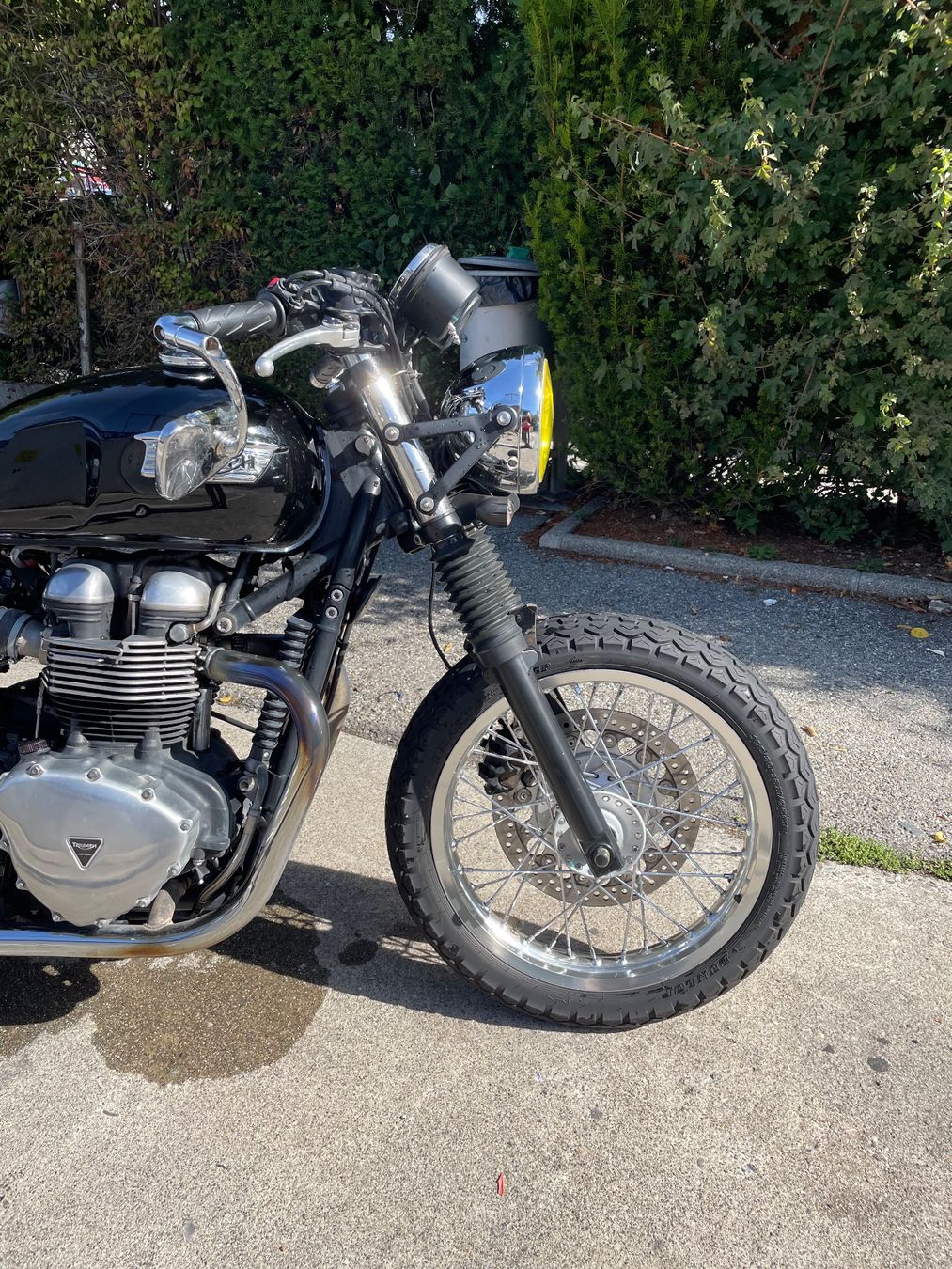 Triumph Route: Triumph Thruxton 900 – D'occasion à Perly par Eelmatto 1