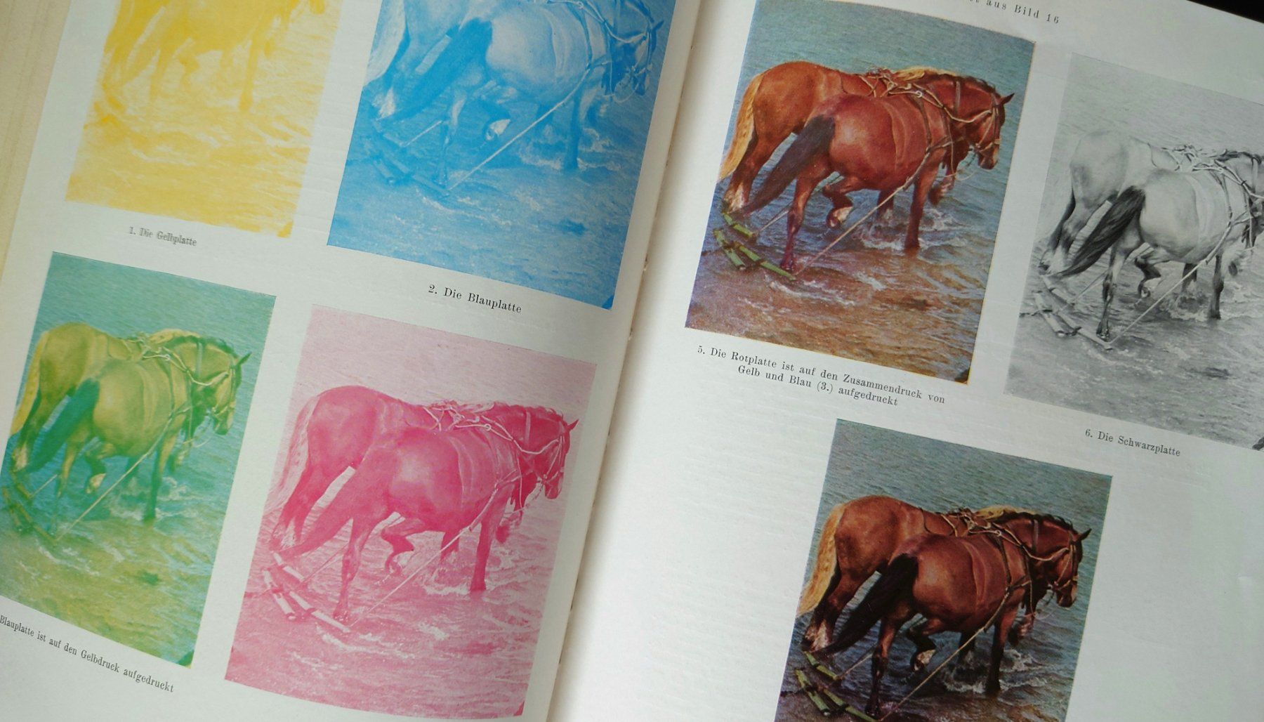 Libri: Agfacolor das farbige Lichtbild – Usato da Pfäffikon SZ venduto da truek 2