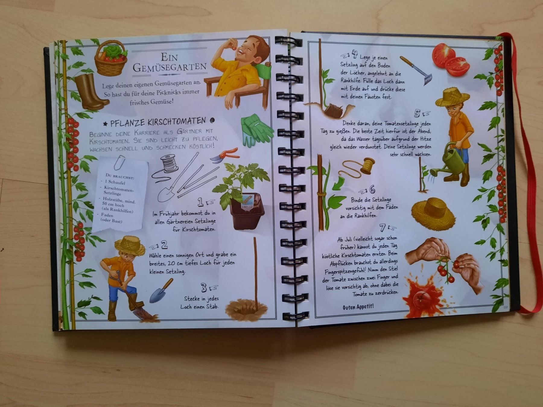 Libri: Boys Book – Usato da Niederglatt ZH venduto da Bobsli 2