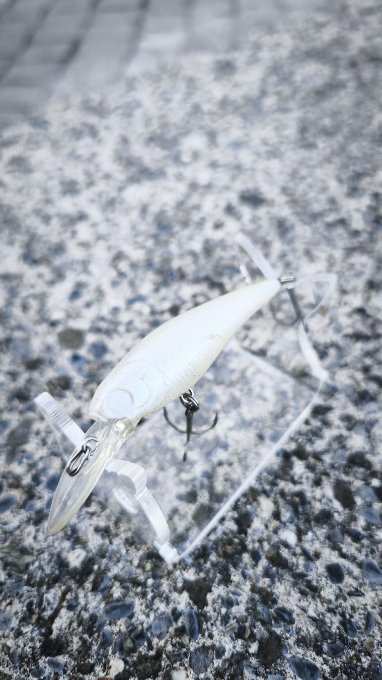 Appâts: Lucky Craft Bevy Shad 60 SP – D'occasion à Sarnen par sebalant 1