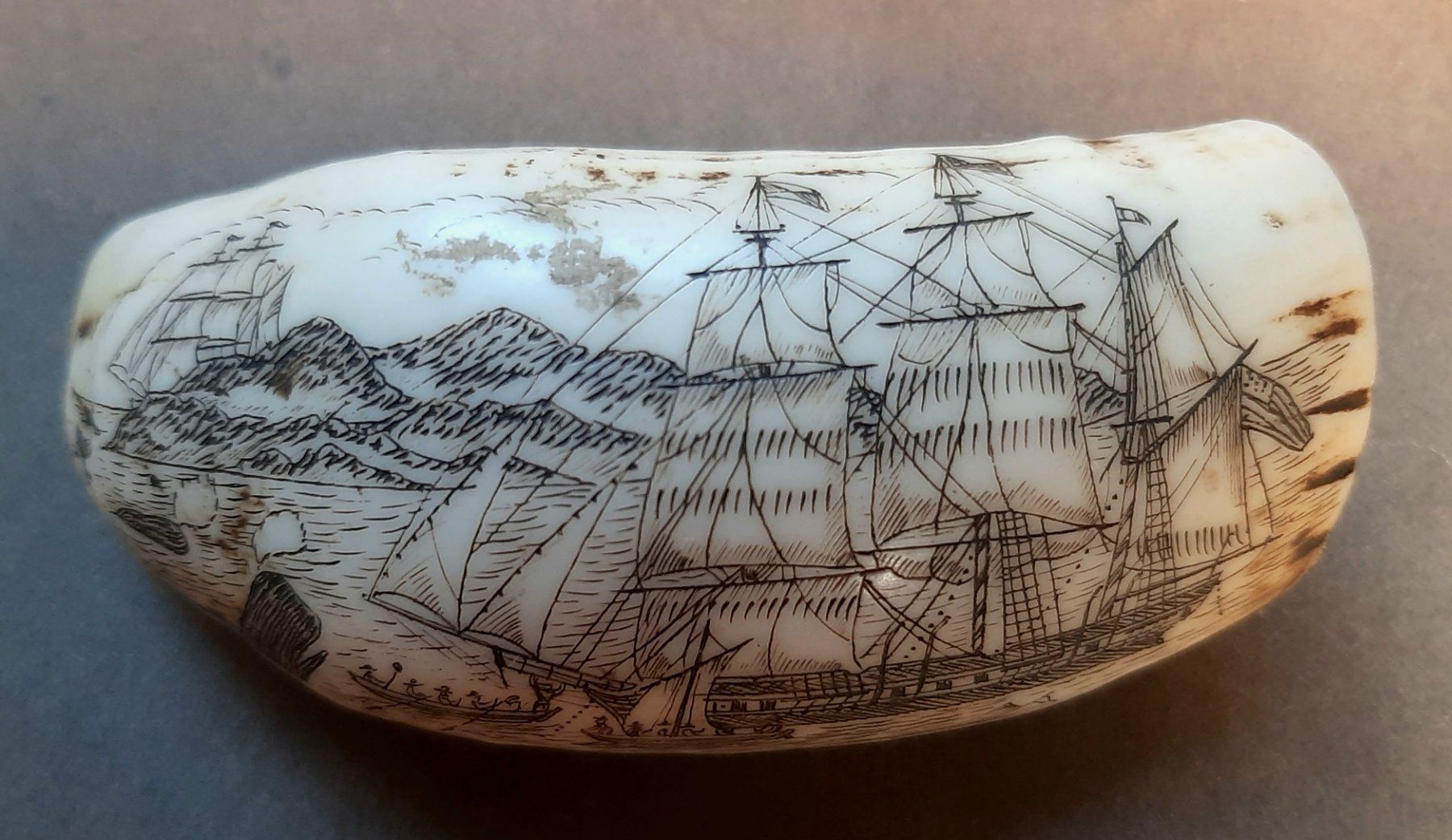 Altre raccolte & rarità: Scrimshaw – Usato da Arbon venduto da torso444