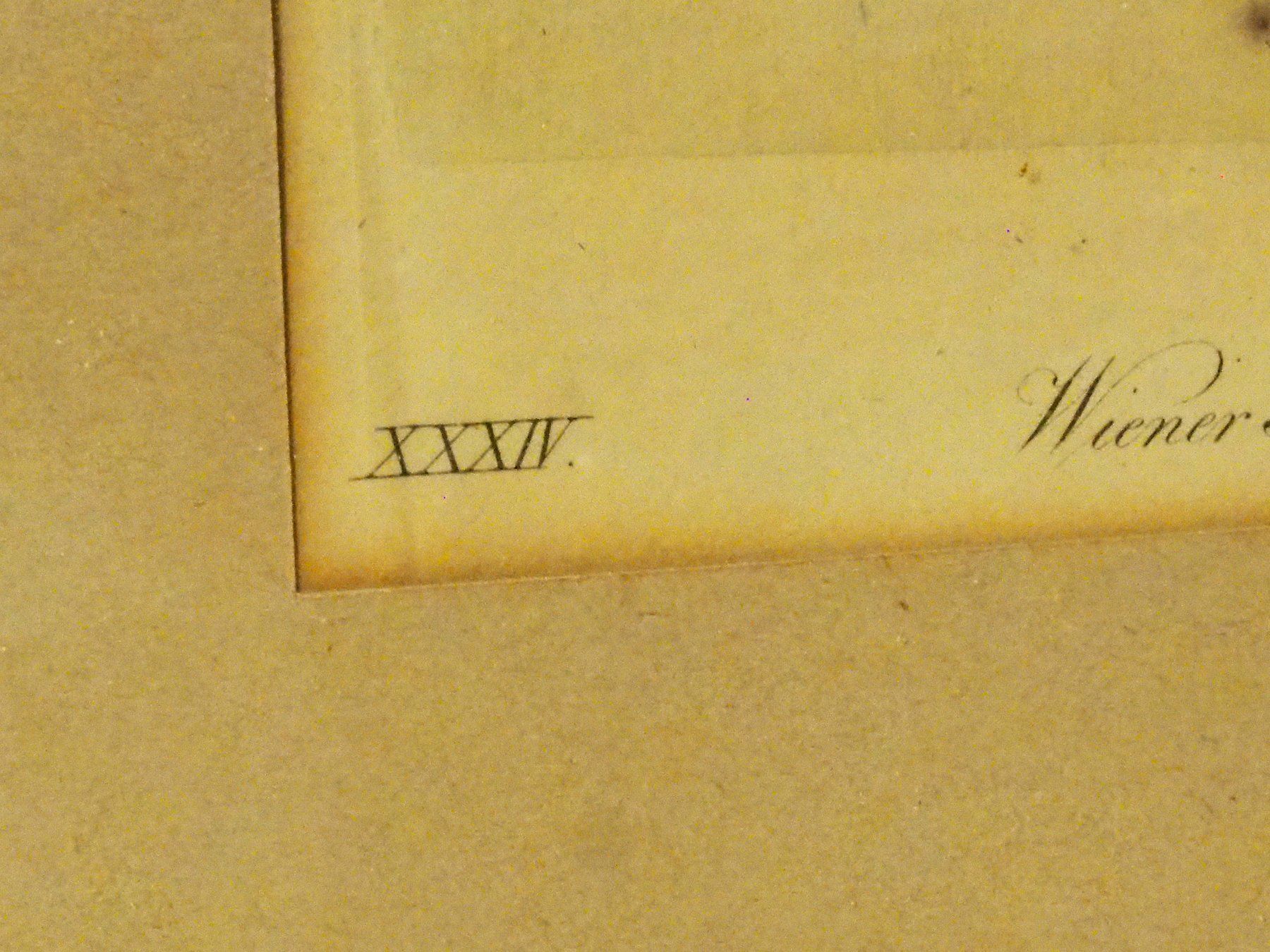 Incisioni: 2  gerahmte Wiener Mode 1833, August /September – Nuovo (secondo la descrizione) da Ebnat-Kappel venduto da carastellabella 3