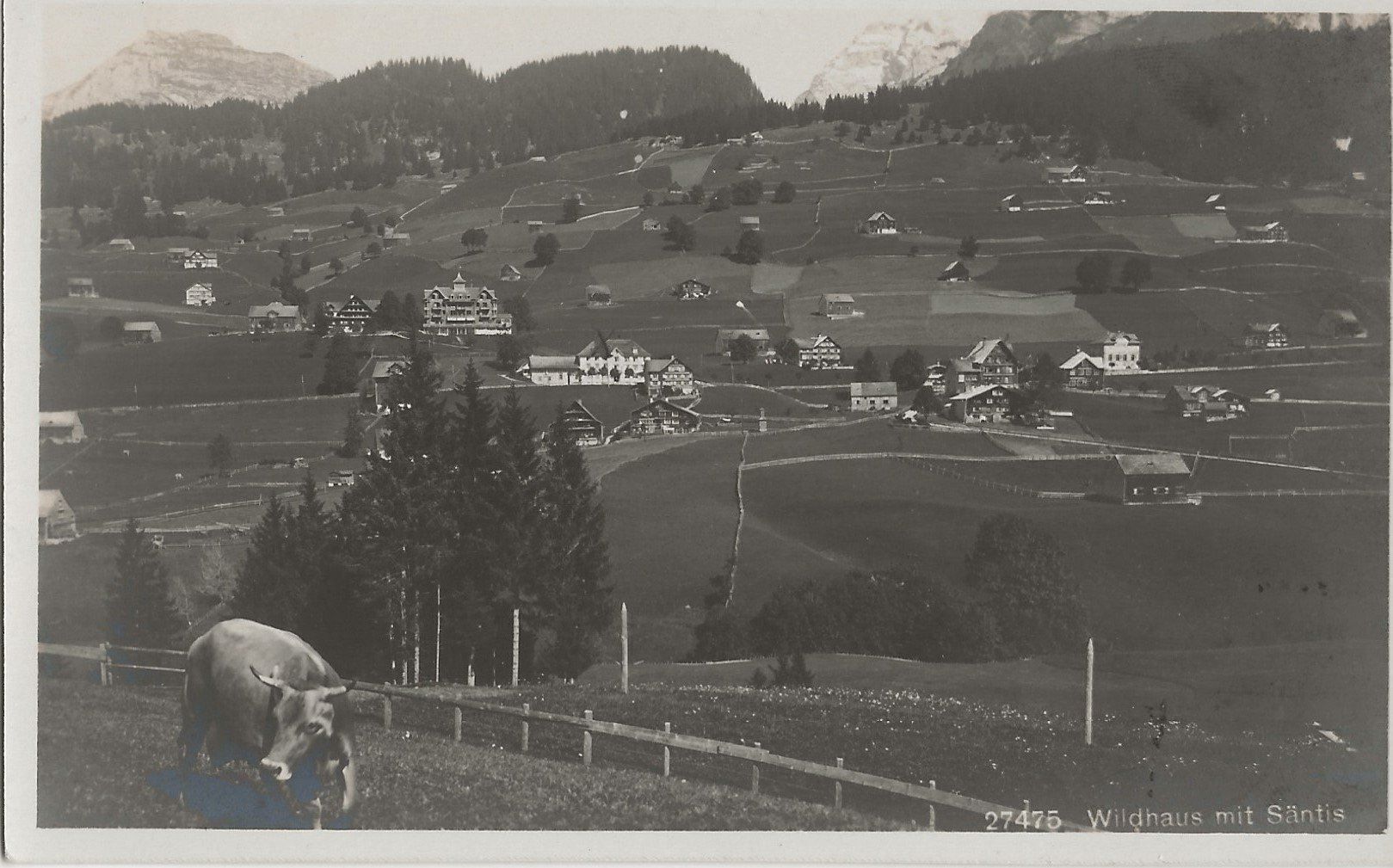 Cartoline postali: Wildhaus, 1922, Landwirtschaft – Usato da Frauenfeld venduto da Merk52