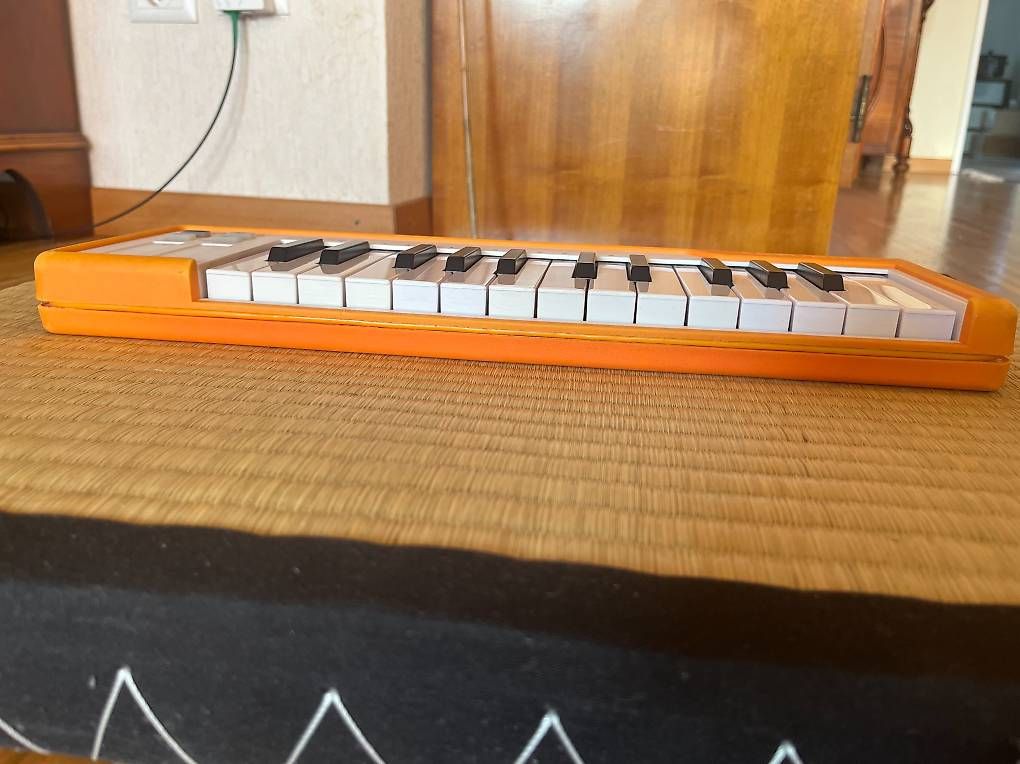 Strumenti musicali: Arturia MicroLab  clavier midi 25 touches – Usato da Confignon venduto da gelivan 1