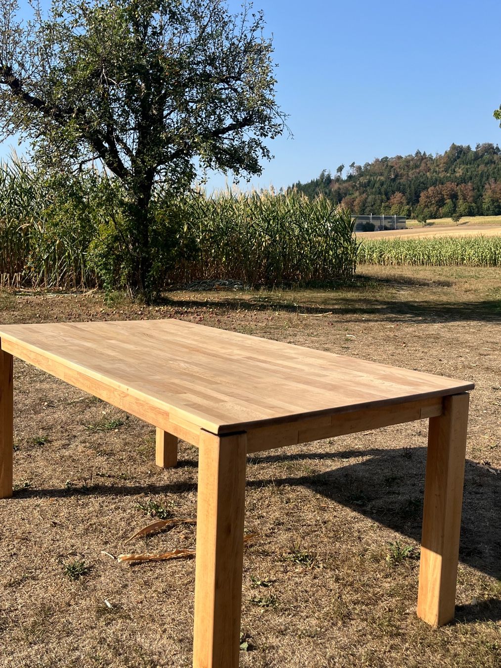 Tables: Tisch Massiv – D'occasion à Allmendingen b. BE par juair 1