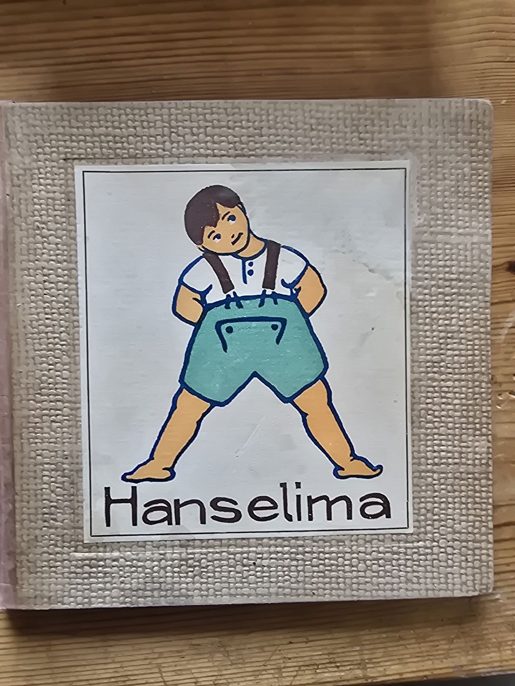 Libri: E. Haas Hanselima Bilderfibel – Usato da Hedingen venduto da mickway