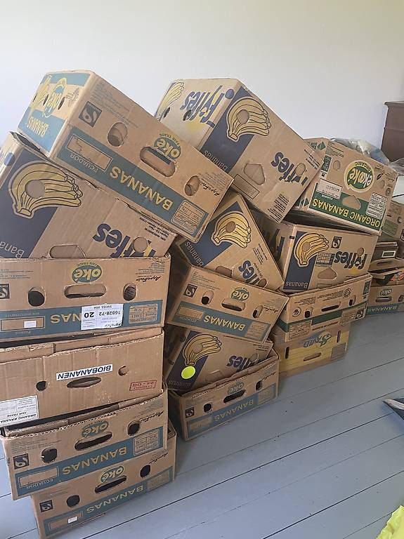 Cartons: 15 Bananenschachteln mit Deckel – D'occasion à Reutigen par Schu456