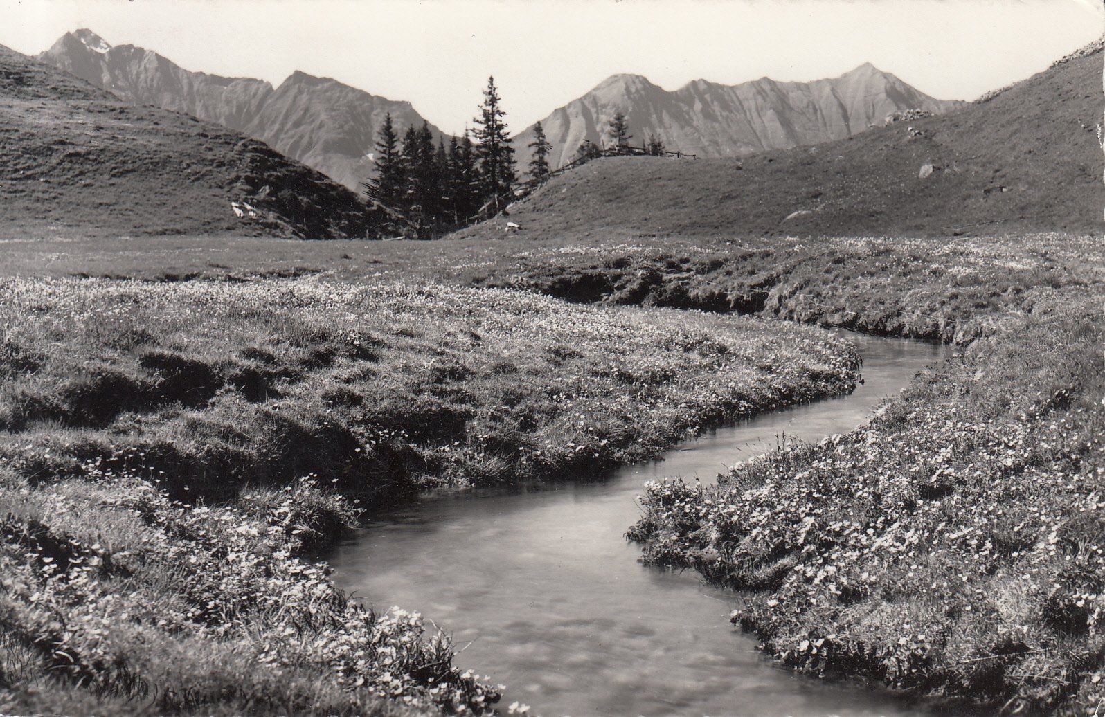 Cartoline postali: Unter-Elsigenalp 1971 – Usato da Bürglen TG venduto da StampGraf