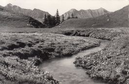 Unter-Elsigenalp 1971