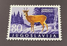 Jugoslawien 1960 Reh