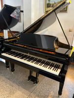 Steinway & Sons O-180, revidiert