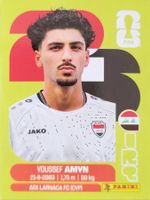 Panini FIFA World Cup IRQ 14