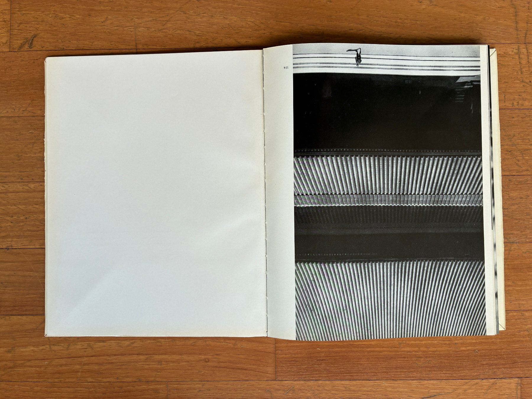 Libri: Photo Buch: KARL BLOSSFELDT – Usato da Lugano venduto da gio.yo 9