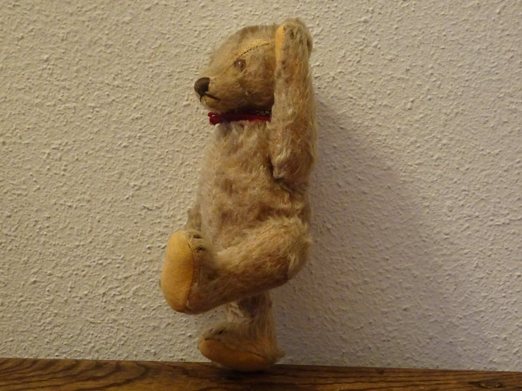 Bambole: Alter Teddybär – Usato da Esslingen venduto da eintagammeer 9