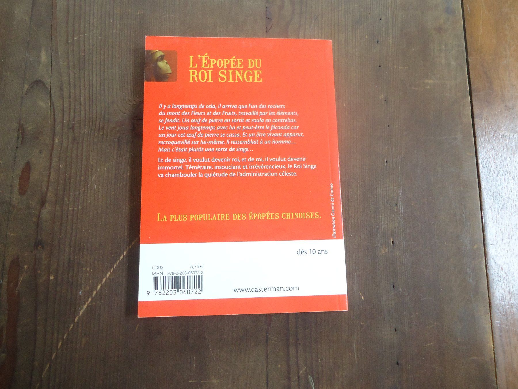 Libri: L'épopée du roi singe - 10 ans – Usato da Vessy venduto da bm.par 1