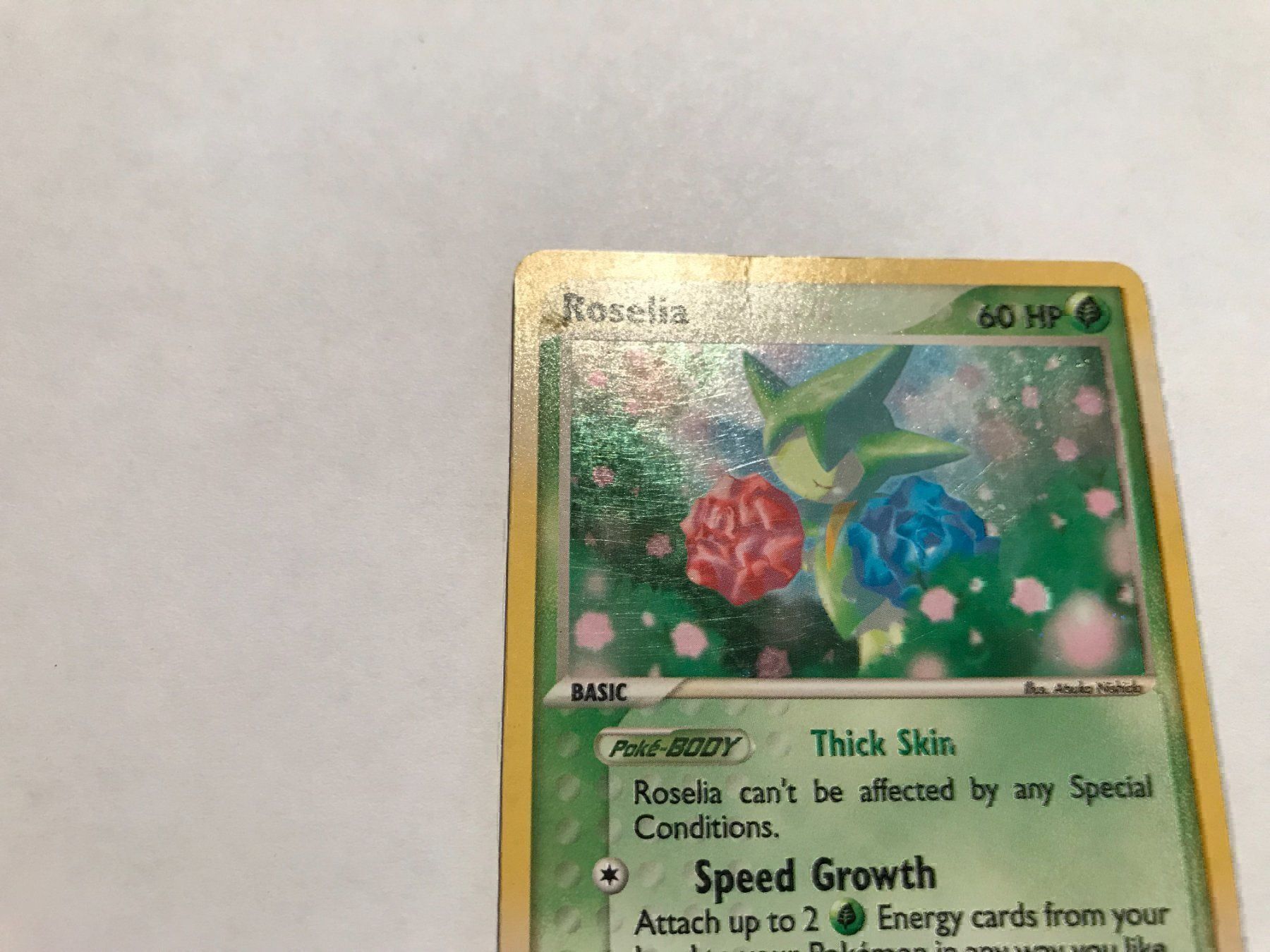 Pokémon Carte collezionabili: Roselia holo Ex Dragon – Usato da Hagendorn venduto da Pokecollectorch 1