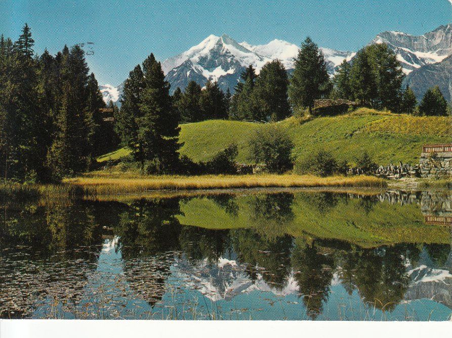 Cartoline postali: Grächensee 1981 – Usato da Bürglen TG venduto da StampGraf