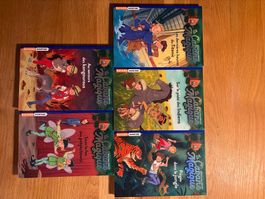 Livre cabane magique 16 à 20