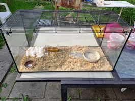Kleintierkäfig Terrarium 80X40X40