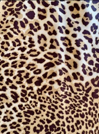 Leo Print Satin Skirt, Size S