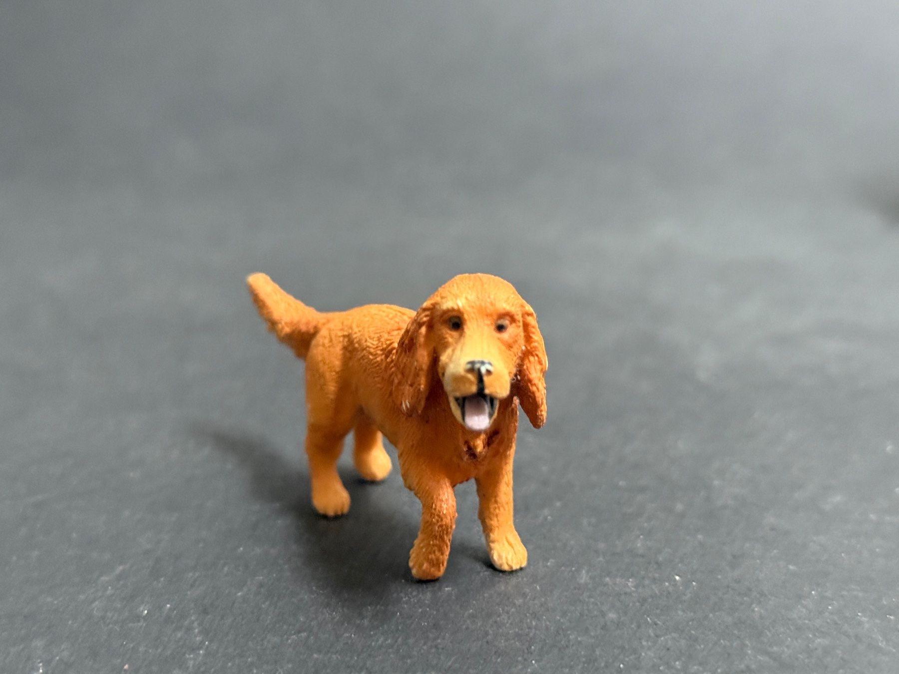 Schleich Statuette: Schleich 13896 Englischer Cocker Spaniel Hund – Usato da Ennetbaden venduto da mapa05 4