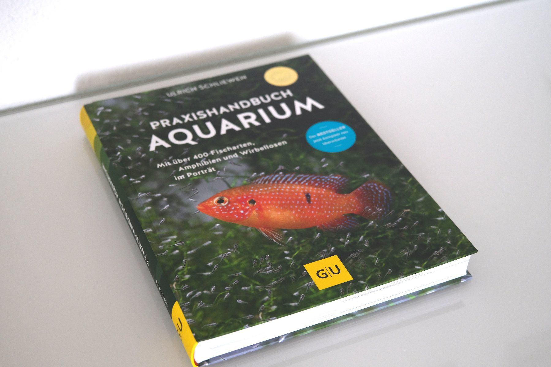Libri: Praxishandbuch Aquarium – Nuovo (secondo la descrizione) da Olten venduto da RABe2000 2