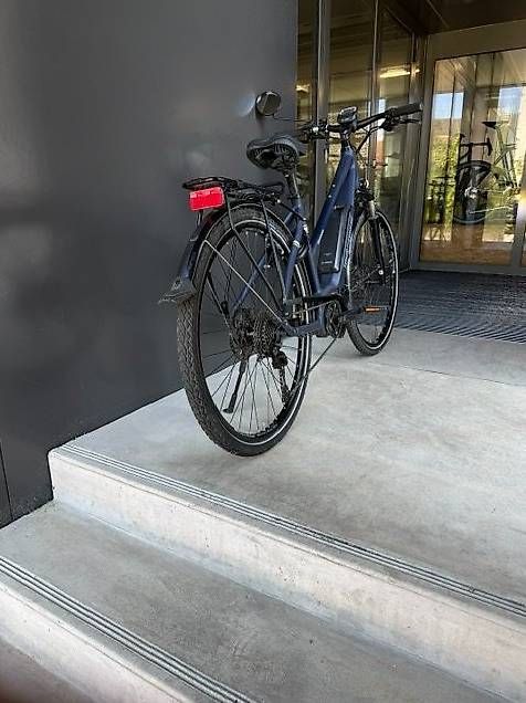 Velos: TDS Rückenwind E-Bike – Gebraucht aus Schönholzerswilen von Biker00 1