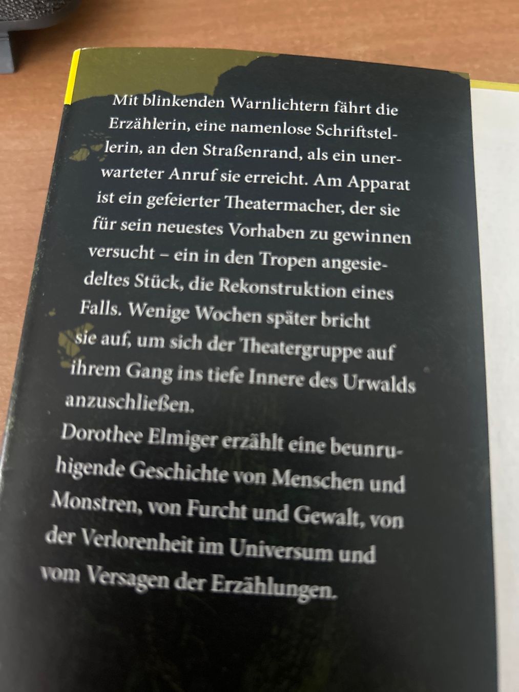 Bücher: Die Holländerinnen – Neu (gemäss Beschreibung) aus Sachseln von Mbueffel 2