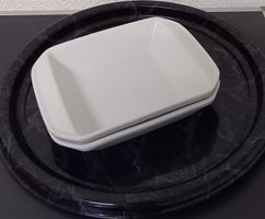 2 *GRATIN - SCHALEN* FÜR ALLERLEI/15 X 20/H 4.5/TIPTOP