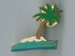 Placchette & Badge: Palme, Pin🌴 – Usato da Zürich venduto da t24_de