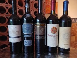 5 Fl. diverse italienische Weine aus Kellerfund