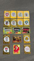 WM 2026 Panini Sticker