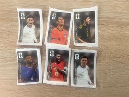 WM 26 Panini Cola Sticker