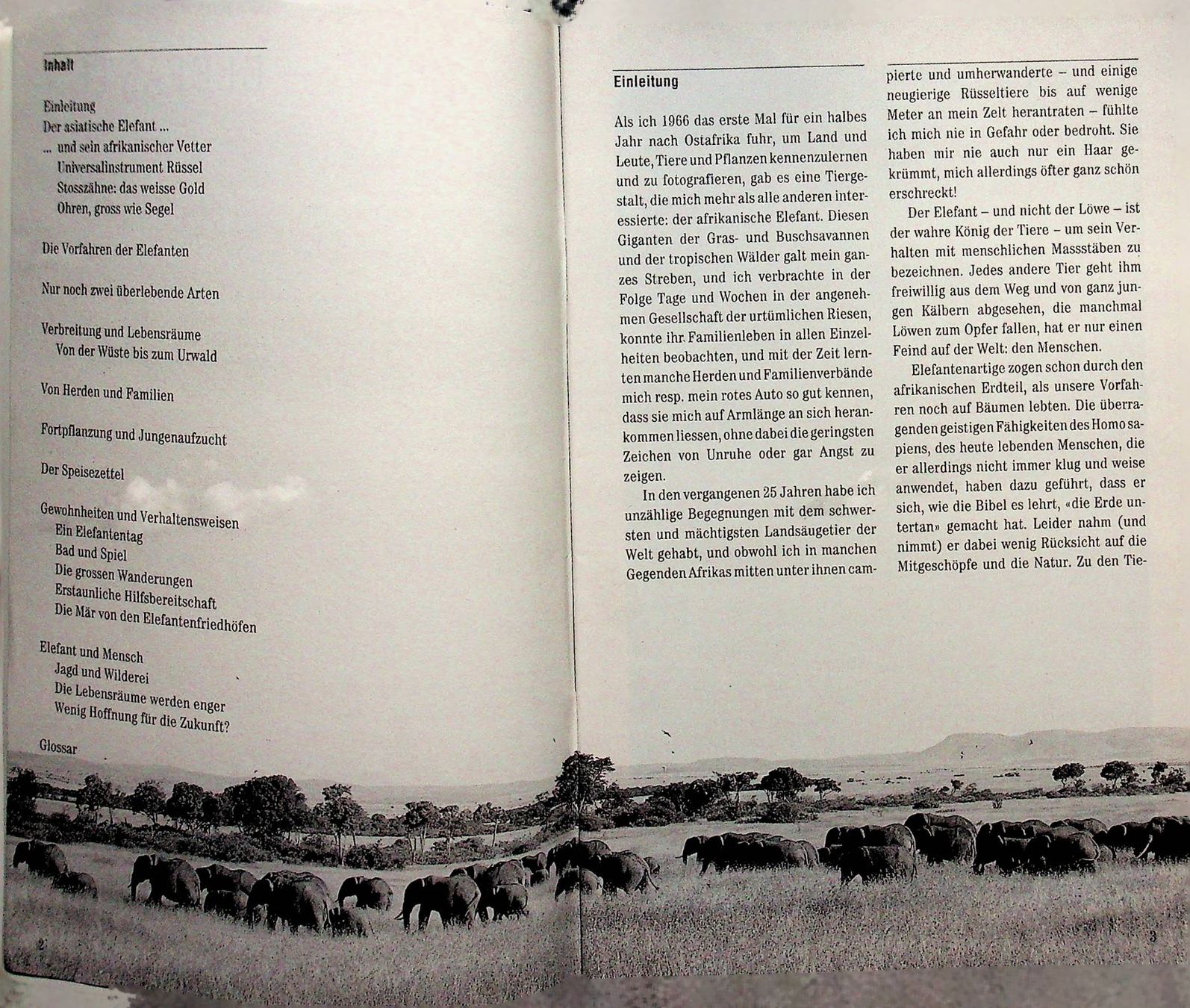 Libri: SJW 1950 Willi / Ursula Dolder Elefanten o. J. – Usato da Reitnau venduto da Zaomir 2