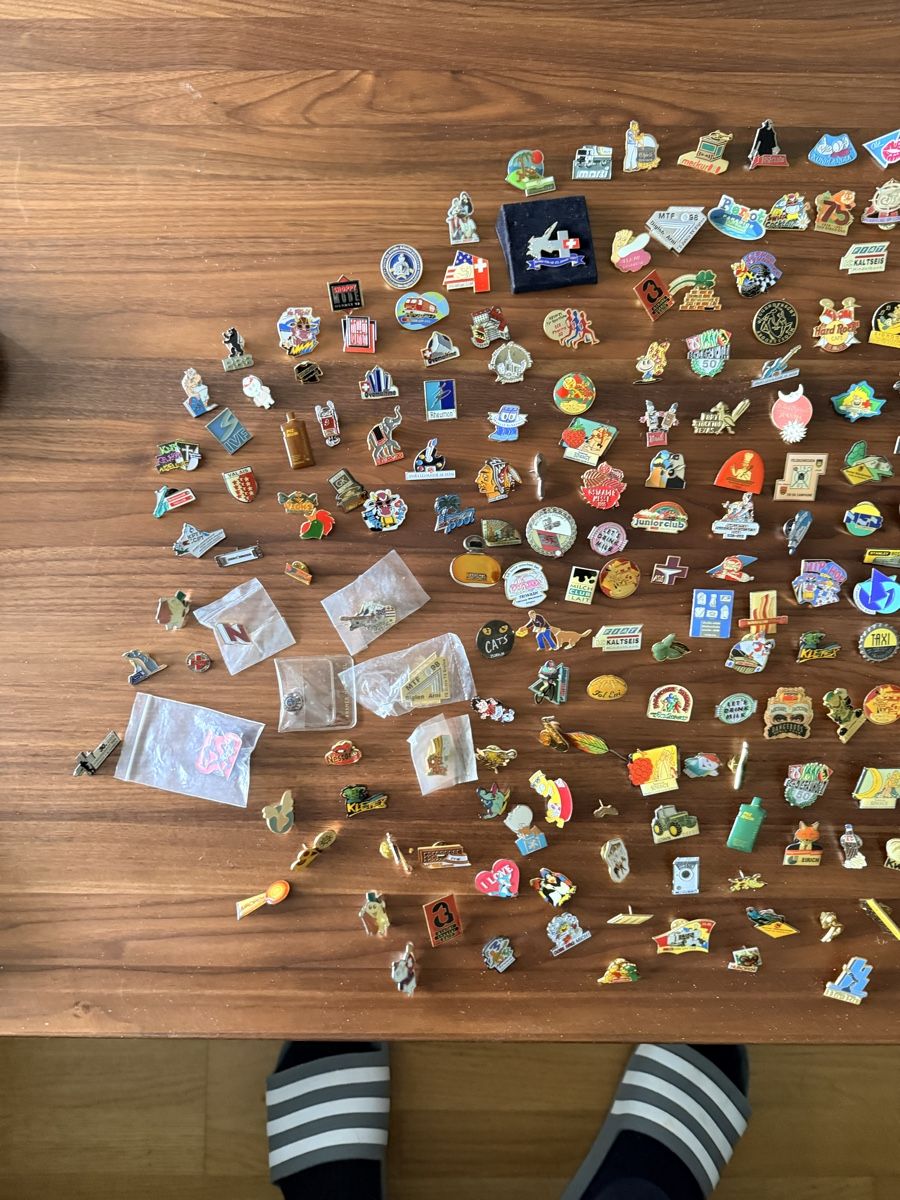 Swiss Plaketten & Abzeichen: PIN - Sammlung – Gebraucht aus Solothurn von NUVICO 6