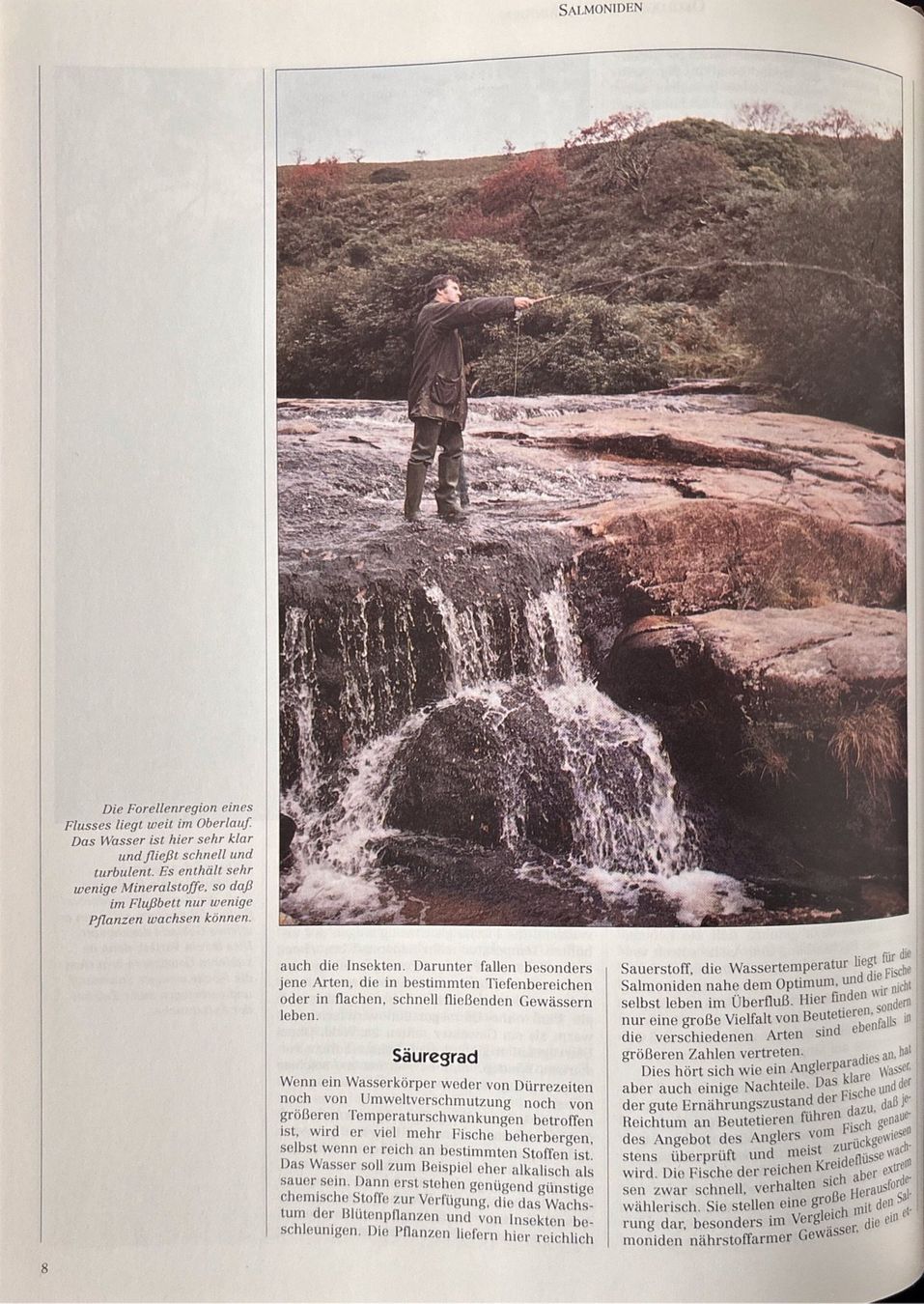 Libri: John Buckland, Salmoniden – Nuovo (secondo la descrizione) da Sarnen venduto da Livres 4