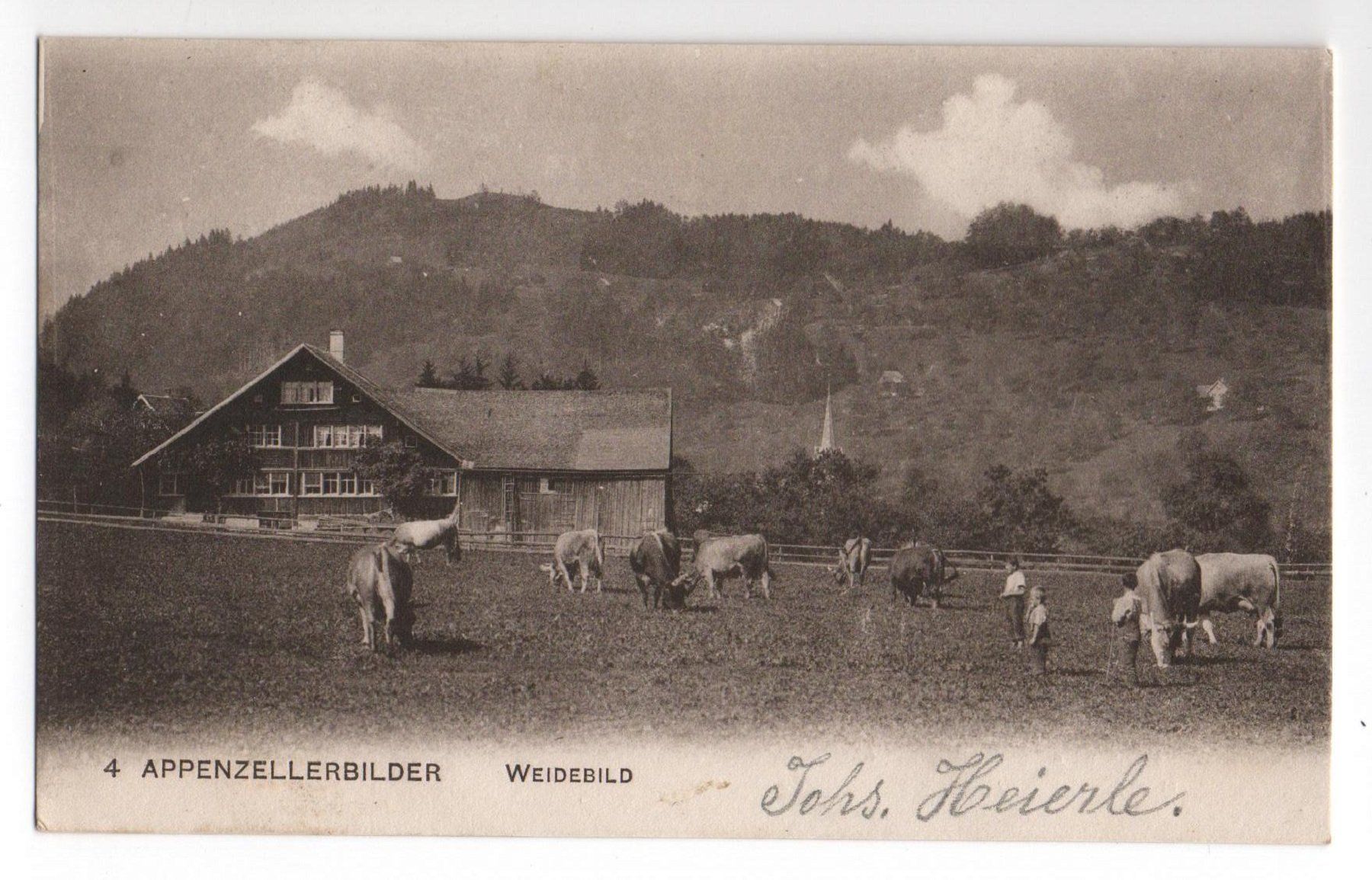 Cartes postales: APPENZELLERBILDER Weidebild - Bauer mit Kühen – Neuf (Voir description) à Jona par philajona
