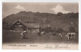 APPENZELLERBILDER Weidebild - Bauer mit Kühen