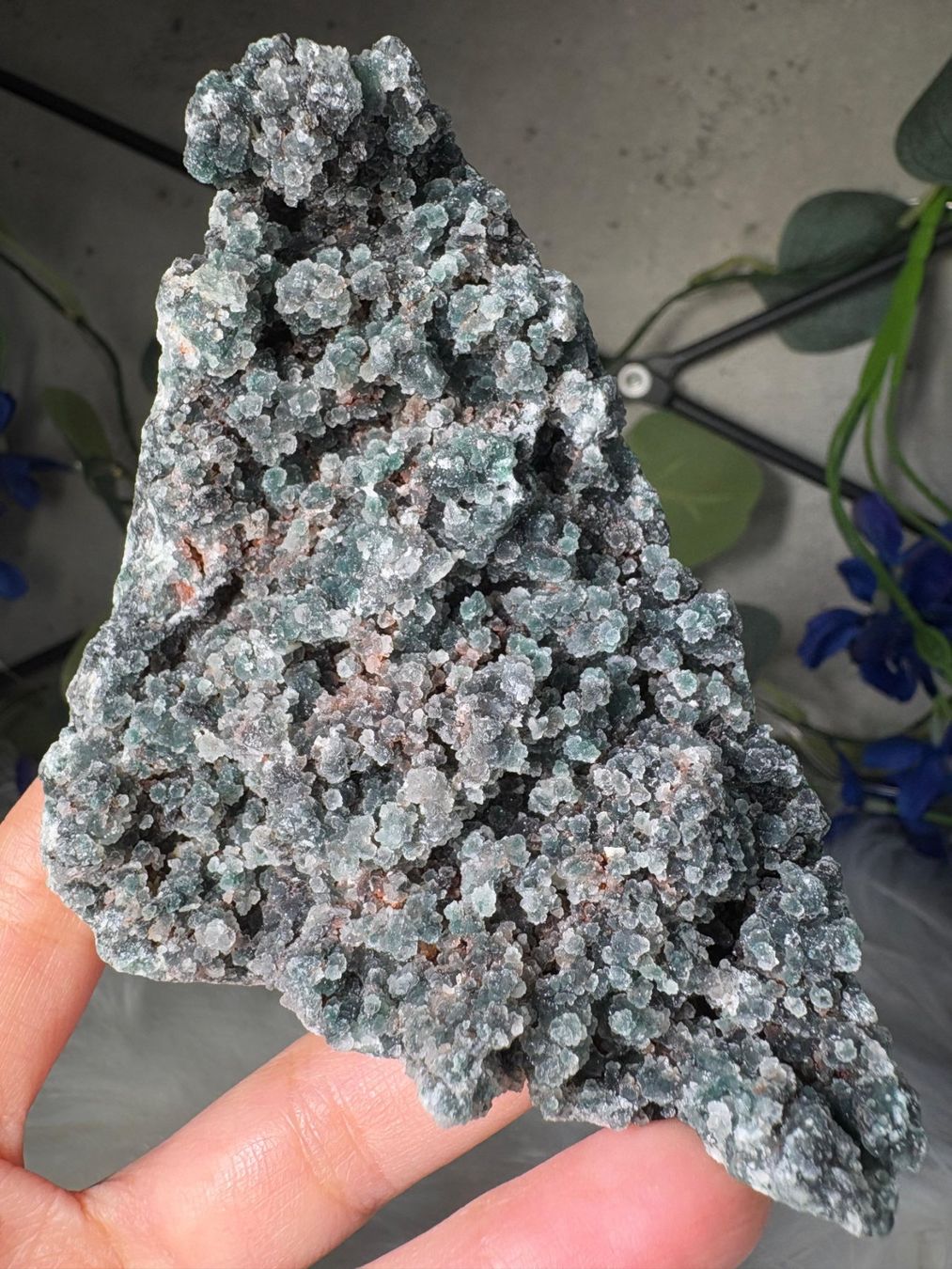 Minerali & Pietre curative: Grüner Chalcedon-Stalaktit – Nuovo (secondo la descrizione) da Neuheim venduto da m.hald
