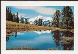 AK 1964 Hohe Windspillen mit Oldenhorn , Gstaad