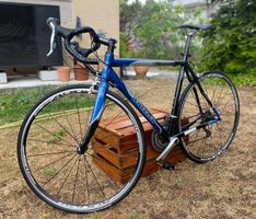 Wheeler Route 1.4 Rennrad | Grösse 54 cm