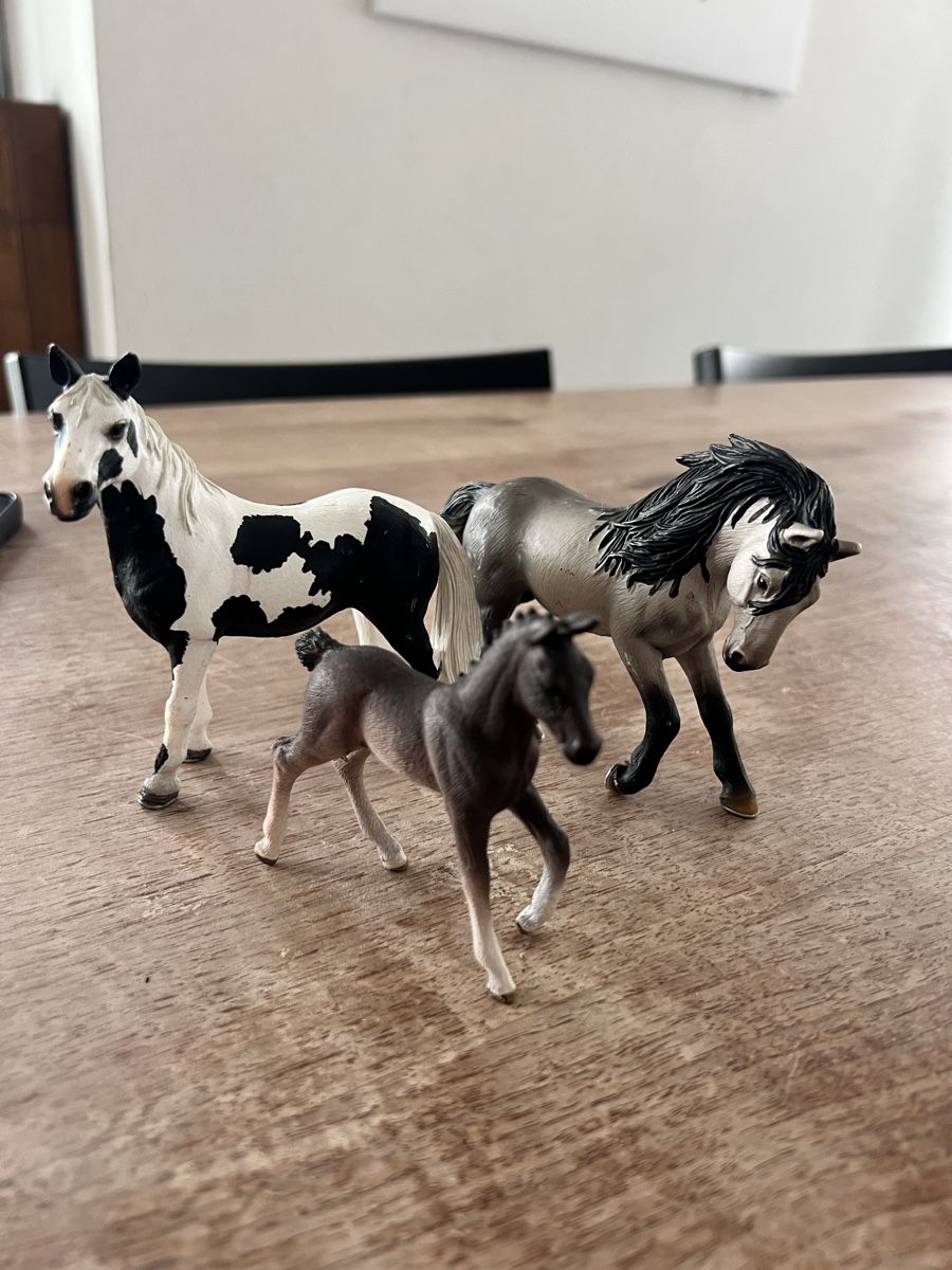 Schleich Giocattoli: pferdefamilie von schleich – Usato da Beinwil am See venduto da -Sparky-