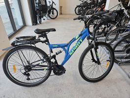 Mountain bike