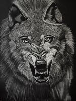 Titel: The Wolf – Original Pastellzeichnung 50 × 70 cm – Wol