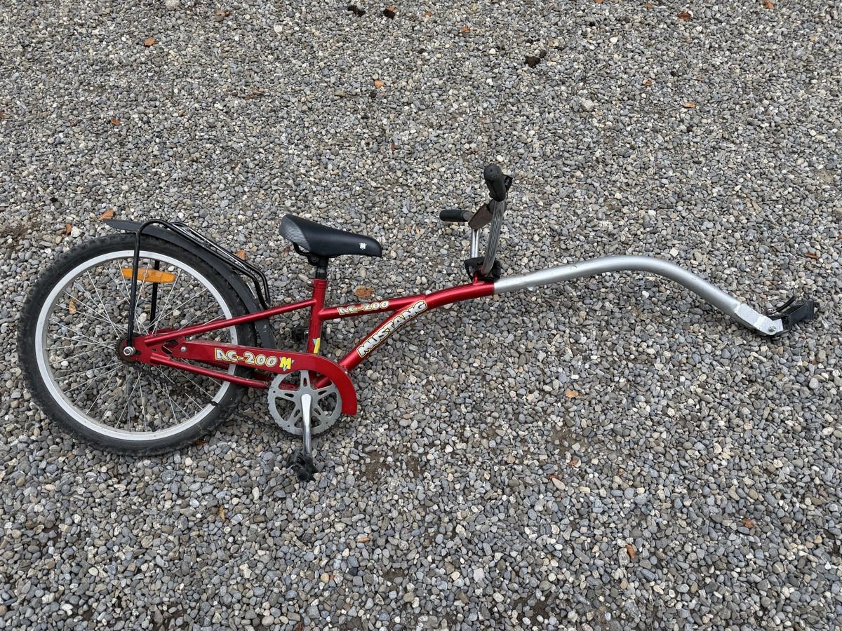 Vélos: Schattenvelo / Follow-me – D'occasion à Beinwil am See par pk5037 1